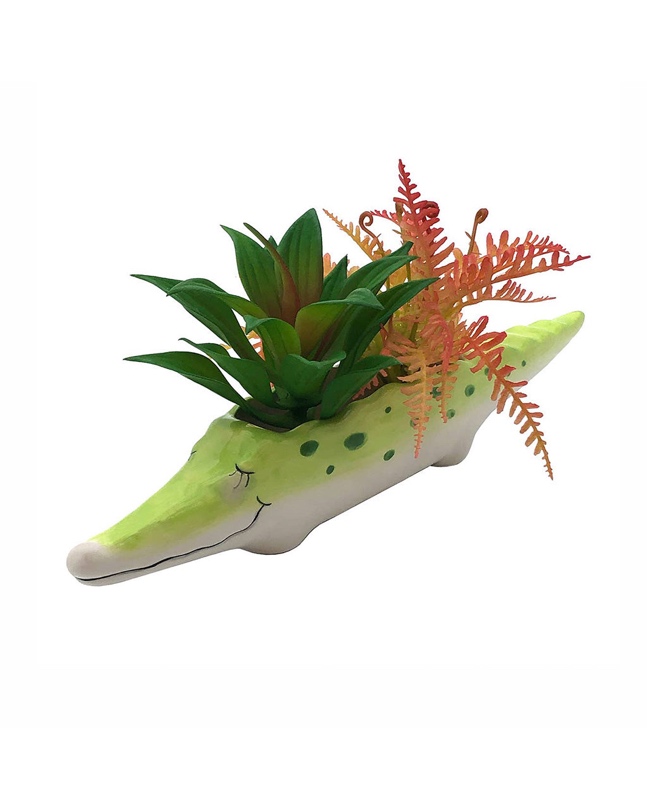A planter with a plant in it

Description automatically generated